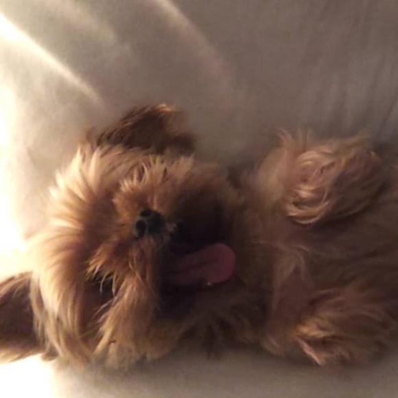 Meet your Posher, Vanessa brooke - Picture 1 of 1